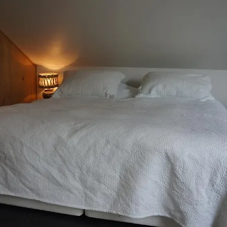 Dom wakacyjny Slaperij 't Woud Bergen